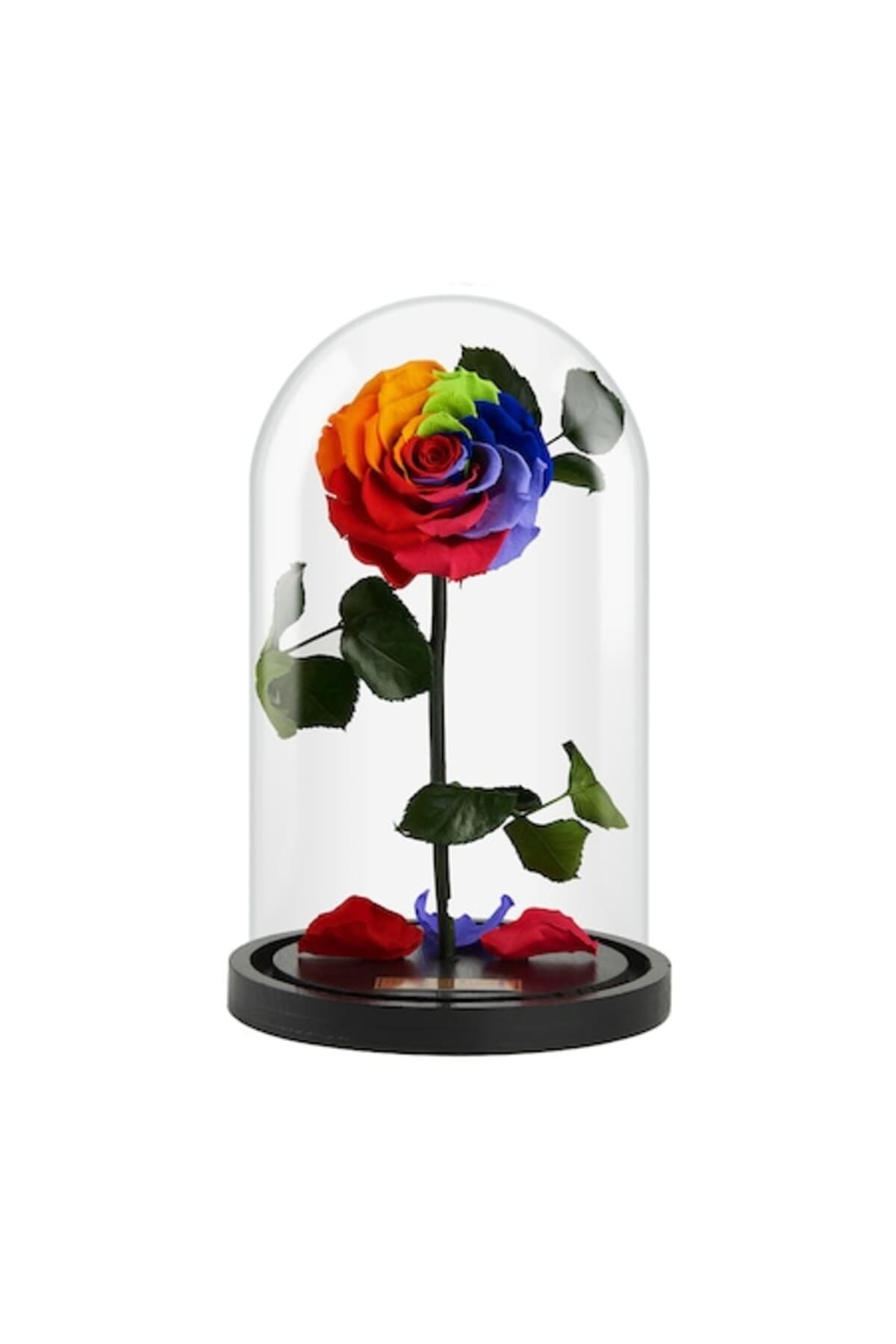 Fotografie produs: Curcubeu de trandafiri pentru totdeauna - MULTICOLOR