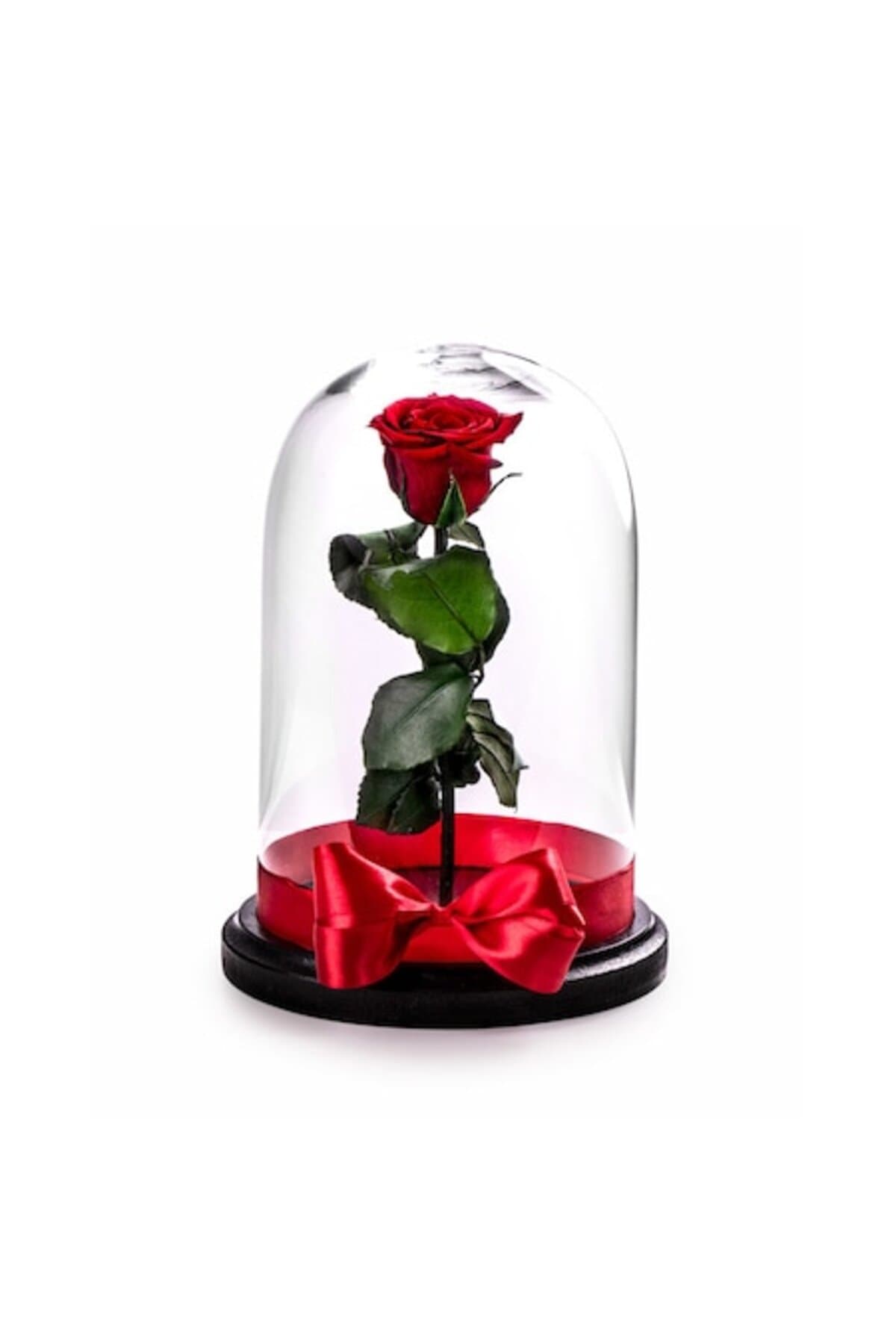 Fotografie produs: Trandafir roșu înghețat, Rose Amor, cupolă de sticlă 25 cm, panglică elegantă - Roșu