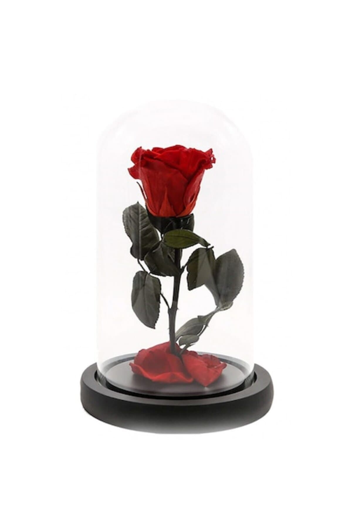 Fotografie produs: Trandafir criogenic roșu intens, Rose Amor, cupolă elegantă din sticlă 25 cm - Roșu