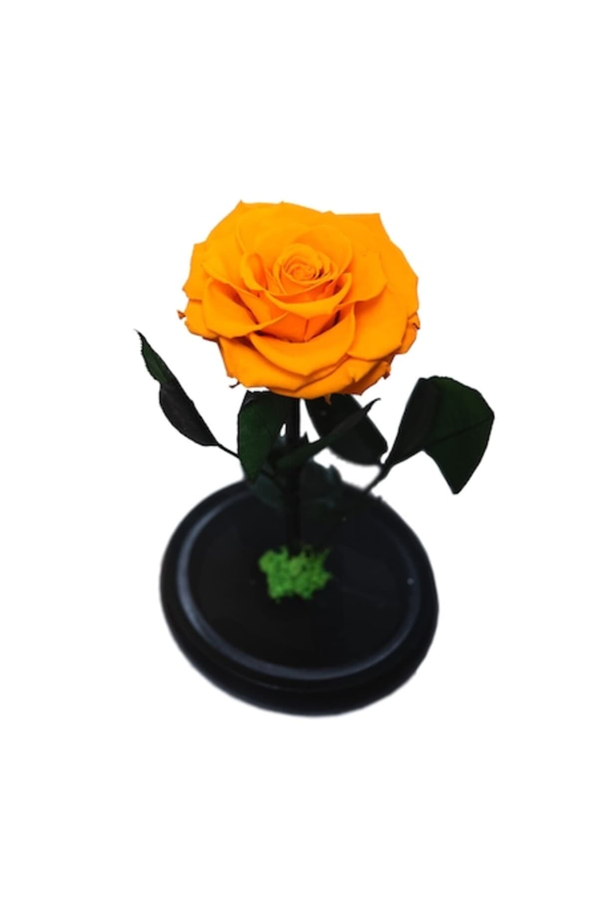 Fotografie produs: Trandafir criogenat, portocaliu vibrant în cupolă de sticlă - Galben