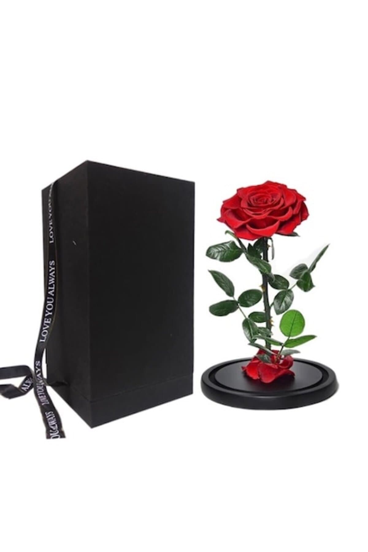 Fotografie produs: Aranjament de trandafiri roșii înghețați - Roșu